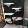 Gecko Shroom Wall - Mô hình nấm 3D trang trí chuồng bò sát độc đáo - Thumbnail 3