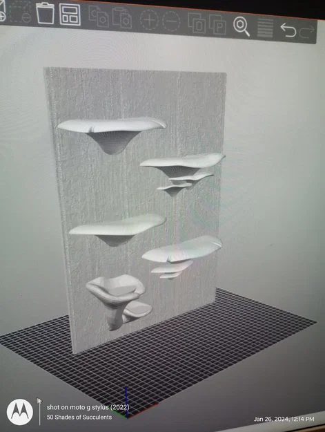 Gecko Shroom Wall - Mô hình nấm 3D trang trí chuồng bò sát độc đáo - Image 4