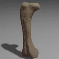 Xương đùi Apatosaurus (Apatosaurus Femur) tỉ lệ 1:1 - Thumbnail 1