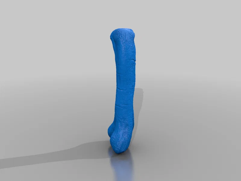 Xương đùi Apatosaurus (Apatosaurus Femur) tỉ lệ 1:1 - Image 2