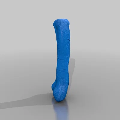 Xương đùi Apatosaurus (Apatosaurus Femur) tỉ lệ 1:1
