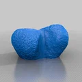 Xương đùi Apatosaurus (Apatosaurus Femur) tỉ lệ 1:1 - Thumbnail 5