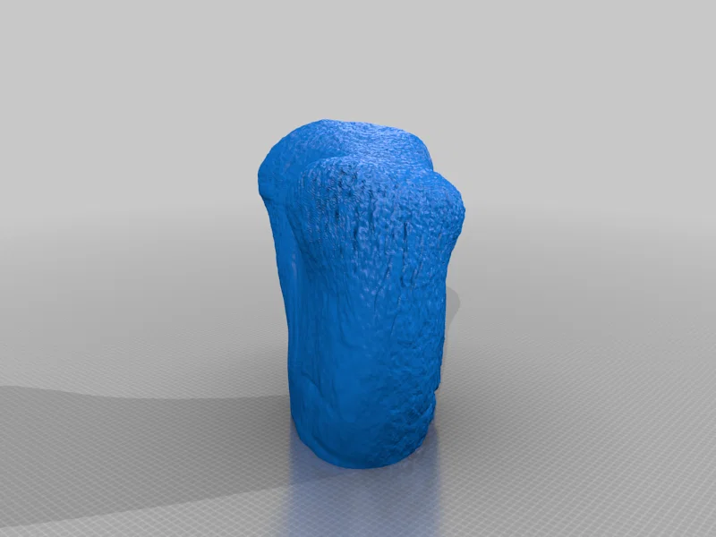 Xương đùi Apatosaurus (Apatosaurus Femur) tỉ lệ 1:1 - Image 7