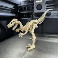 Velociraptor Kit Card (Bộ xếp hình 3D) - Thumbnail 1