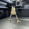 Velociraptor Kit Card (Bộ xếp hình 3D) - Thumbnail 3