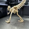 Velociraptor Kit Card (Bộ xếp hình 3D) - Thumbnail 5