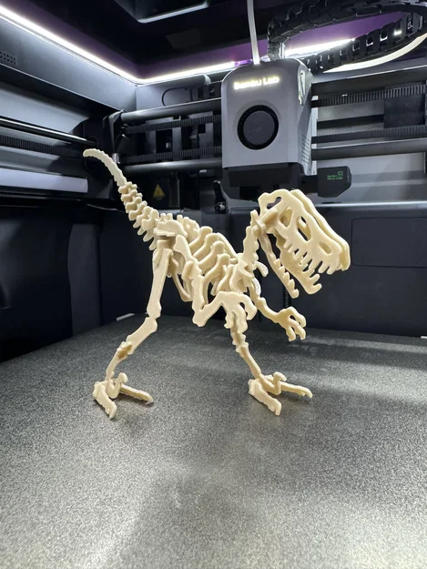 Velociraptor Kit Card (Bộ xếp hình 3D) - Image 6