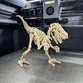 Velociraptor Kit Card (Bộ xếp hình 3D) - Thumbnail 6