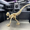 Velociraptor Kit Card (Bộ xếp hình 3D) - Thumbnail 8