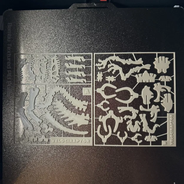 Velociraptor Kit Card (Bộ xếp hình 3D) - Image 9
