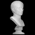 Tượng Bán Thân Julius Caesar (Farnese Caesar) - Thumbnail 3