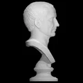Tượng Bán Thân Julius Caesar (Farnese Caesar) - Thumbnail 5