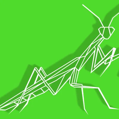 Bọ ngựa hình học (Geometric Mantis)