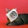 zulevic_1362506