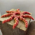 Flex Fidget Spinner - Món đồ chơi 3D linh hoạt xả stress cực đỉnh - Thumbnail 3