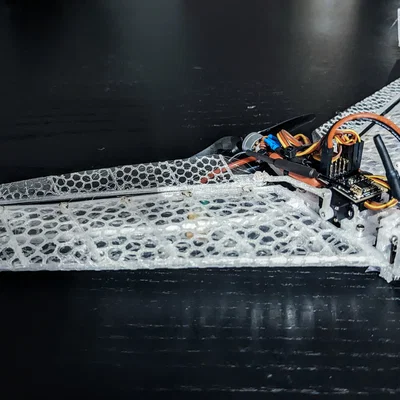 Voronoi Membrane FPV-Wing-Racer (bản remix)
