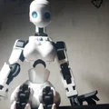 Nâng cấp mô hình Dummy 13 với bộ phận ngực Busto XXL độc đáo - Thumbnail 3