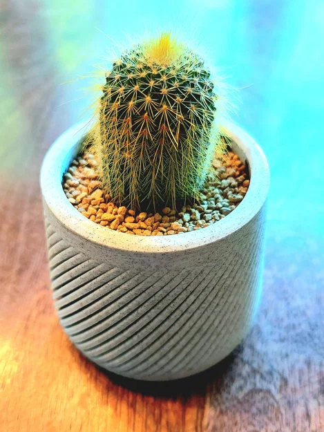 Chậu trồng cây cảnh 3D Succulent Planter hiện đại trang trí bàn làm việc - Image 1
