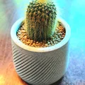 Chậu trồng cây cảnh 3D Succulent Planter hiện đại trang trí bàn làm việc - Thumbnail 1