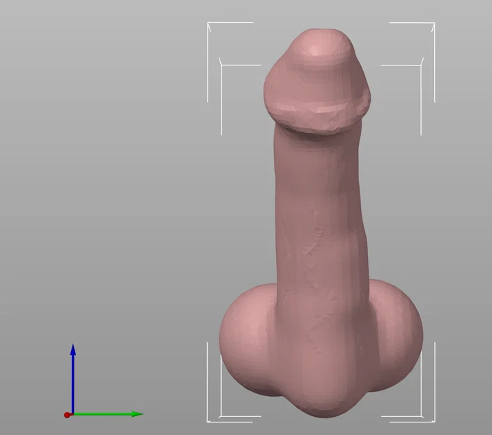 Penis hoặc Dildo chân thực (có thể scale theo kích thước mong muốn) - Image 2