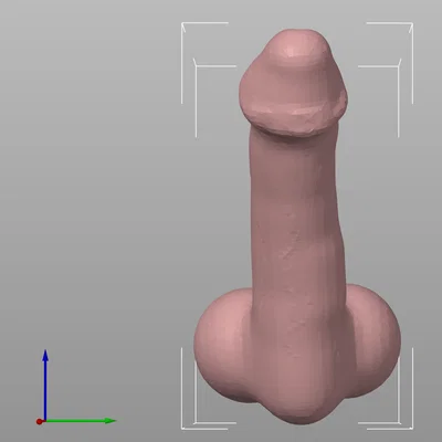 Penis hoặc Dildo chân thực (có thể scale theo kích thước mong muốn)
