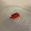 Bade-Schildkröte (Rùa tắm bằng TPU) - Thumbnail 3