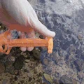 Ngư lôi Underwater cánh quạt Toroidal & Rubber Band Motor - Thumbnail 2