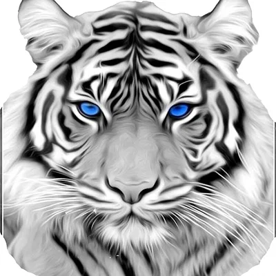 HueForge Siberian Snow Tiger