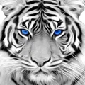 HueForge Siberian Snow Tiger - Thumbnail 2