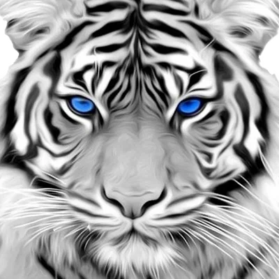 HueForge Siberian Snow Tiger