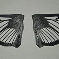 Cánh bướm đêm clearwing realistic (Hemaris thysbe) - Thumbnail 1