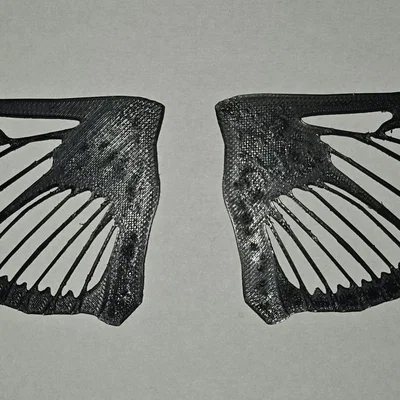 Cánh bướm đêm clearwing realistic (Hemaris thysbe)