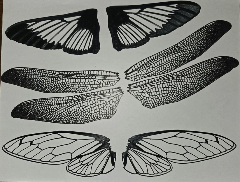 Cánh bướm đêm clearwing realistic (Hemaris thysbe) - Image 3