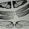 Cánh bướm đêm clearwing realistic (Hemaris thysbe) - Thumbnail 3