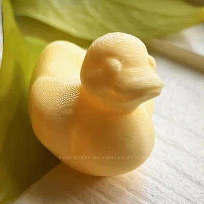 Đồ chơi Vịt Cao Su (Rubber Duck Toy)