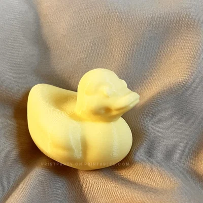 Đồ chơi Vịt Cao Su (Rubber Duck Toy)