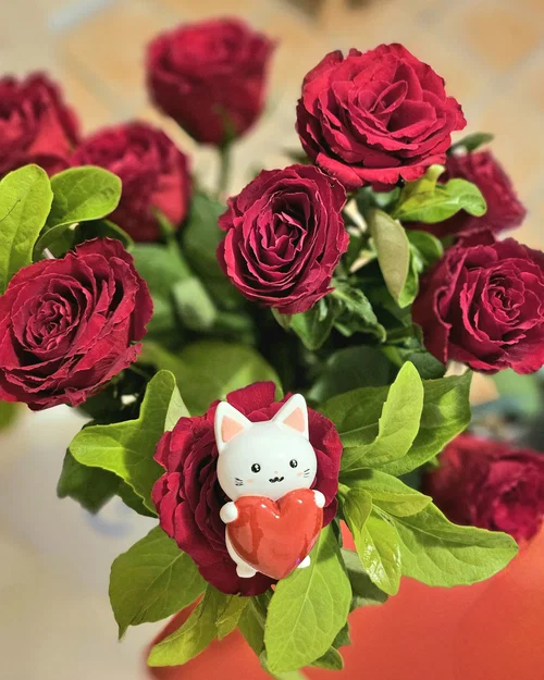 Love Heart Kitty - Mèo ôm trái tim dễ thương - Image 2