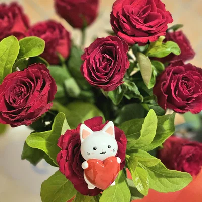 Love Heart Kitty - Mèo ôm trái tim dễ thương