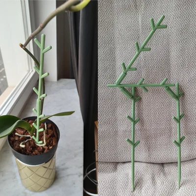 Giá Đỡ Cây Dạng Module (Modular Plant Supports)