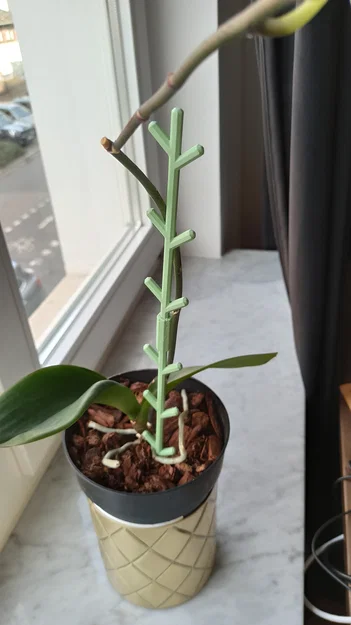 Giá Đỡ Cây Dạng Module (Modular Plant Supports) - Image 2