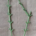 Giá Đỡ Cây Dạng Module (Modular Plant Supports) - Thumbnail 3