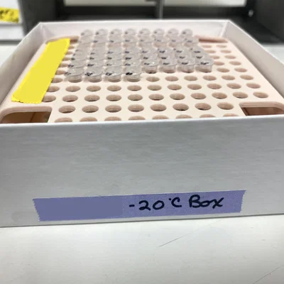 Insert hộp đông cho ống PCR 0.2 mL & tube strips