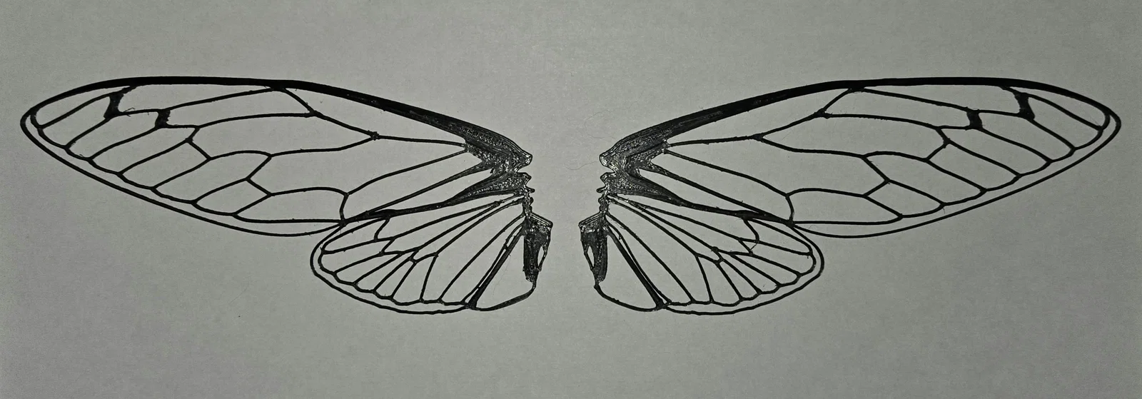 Cánh ve sầu siêu thực (Realistic cicada wings) - Image 1