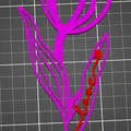 Mẫu in 3D Valentine Tulip trang trí xinh xắn cho ngày lễ tình yêu - Thumbnail 5
