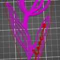 Mẫu in 3D Valentine Tulip trang trí xinh xắn cho ngày lễ tình yêu - Thumbnail 6