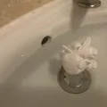 Mô hình Axolotl đồ chơi bồn tắm 3D đáng yêu cho bé - Thumbnail 2