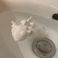 Mô hình Axolotl đồ chơi bồn tắm 3D đáng yêu cho bé - Thumbnail 6