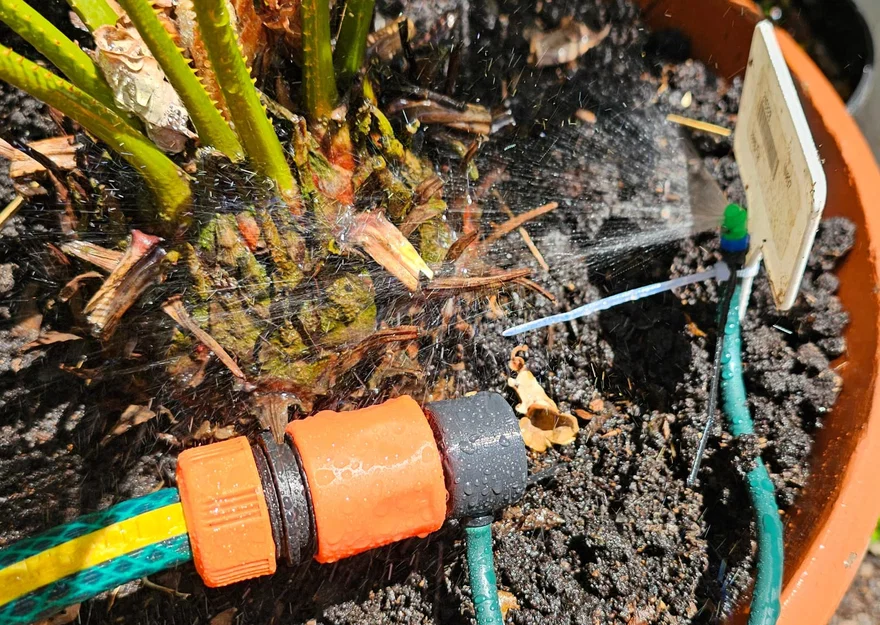 Bộ chia tưới nhỏ giọt/micro-spray 10 nhánh kèm đầu nối Gardena - Image 7