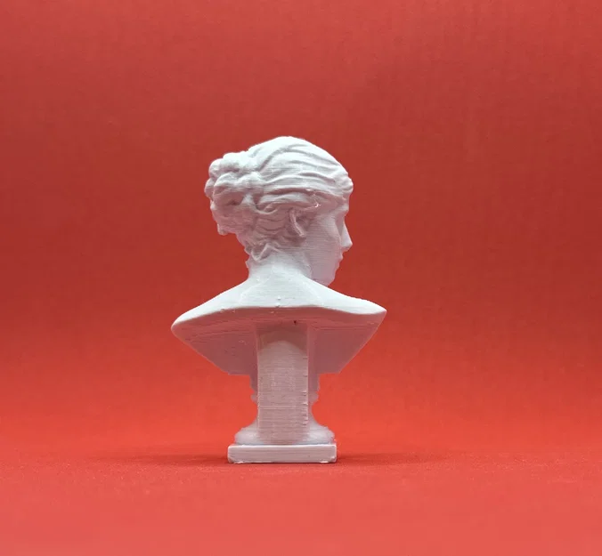 Mô hình tượng bán thân Roza Loewenfeld in 3D nghệ thuật - Image 2