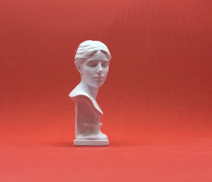 Mô hình tượng bán thân Roza Loewenfeld in 3D nghệ thuật - Image 3